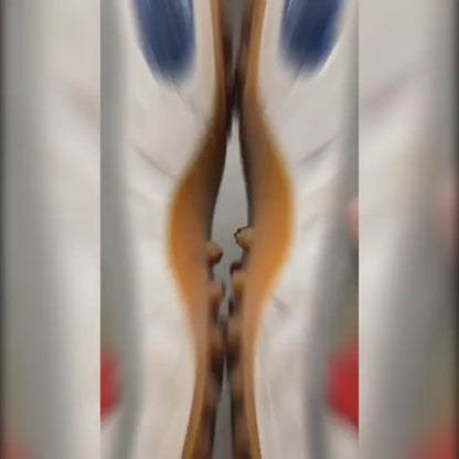 ShoeCare+ Advanced Set